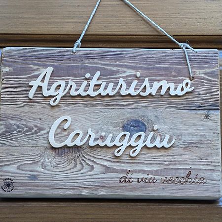 Agriturismo Caruggiu Di Via Vecchia Orco Feglino Dış mekan fotoğraf