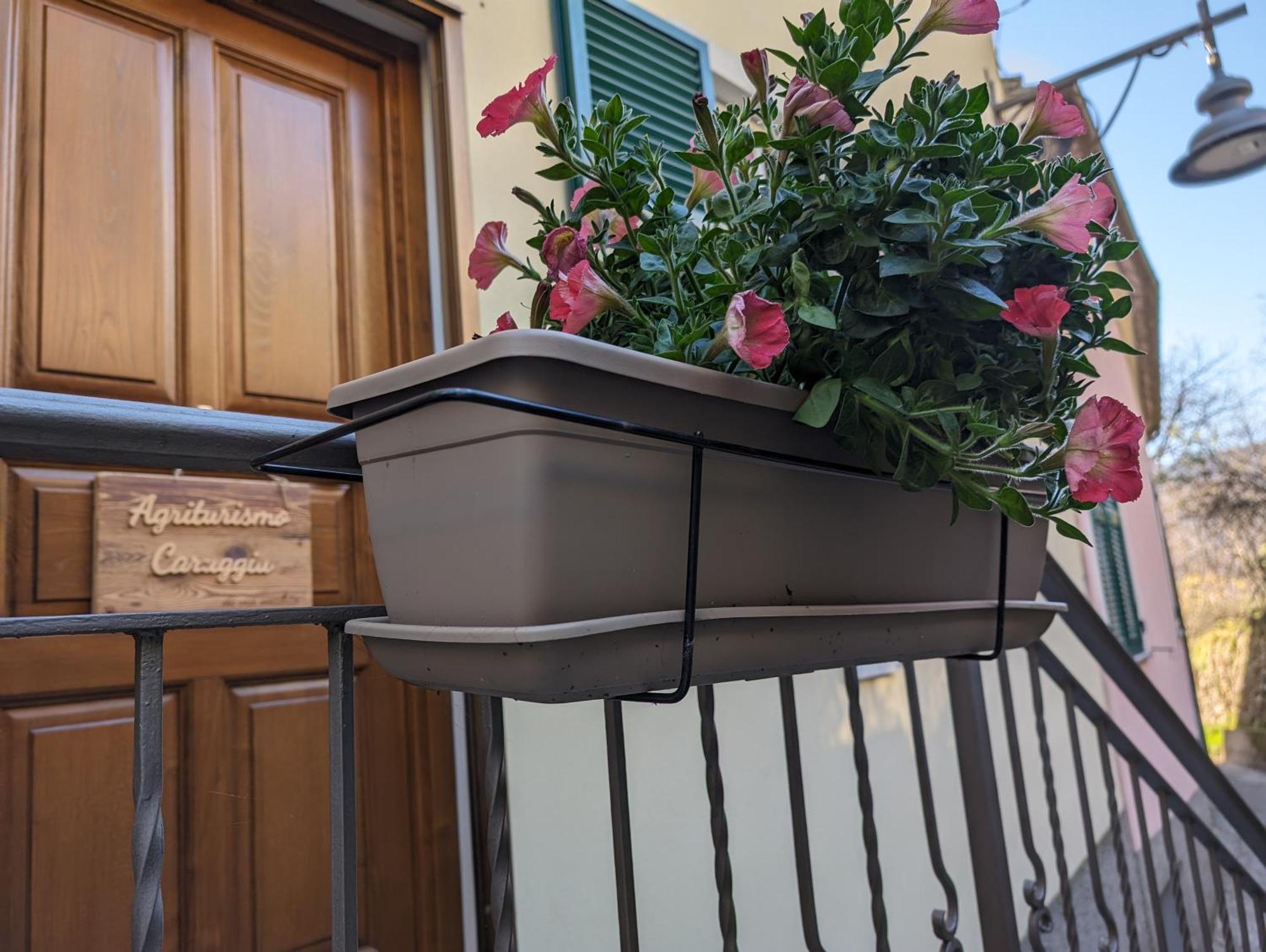Agriturismo Caruggiu Di Via Vecchia Orco Feglino Dış mekan fotoğraf
