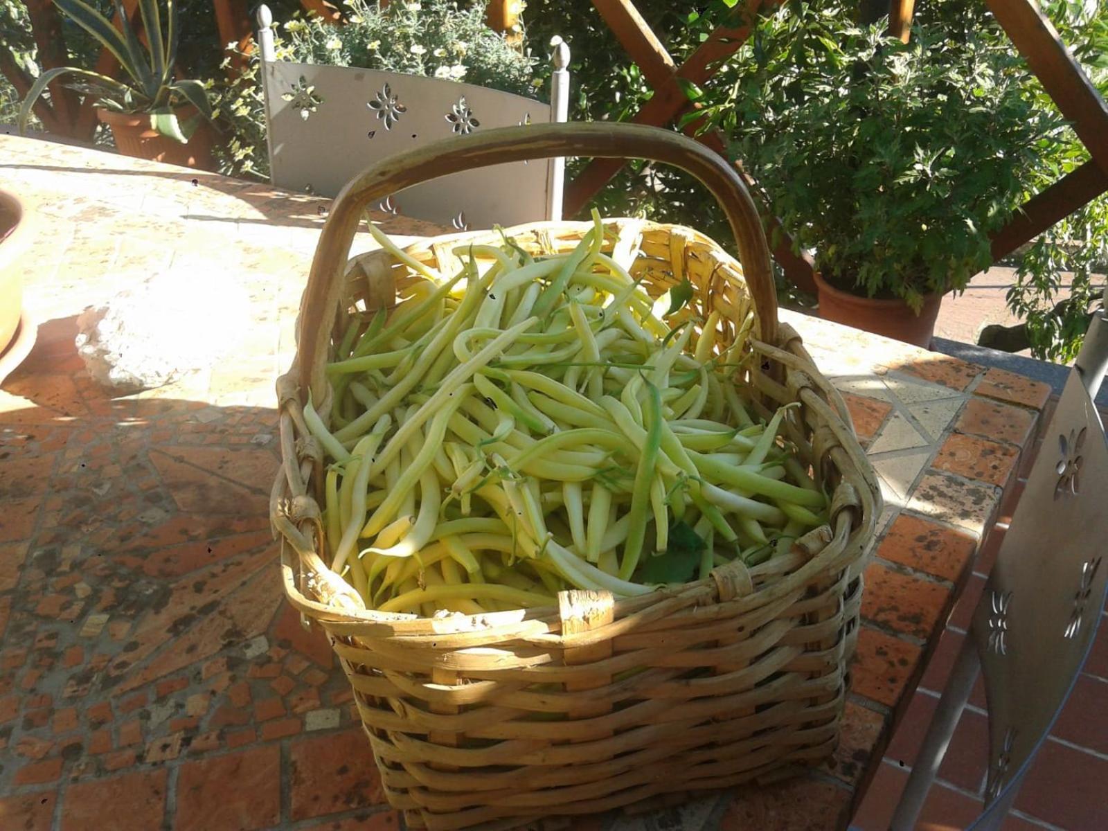 Agriturismo Caruggiu Di Via Vecchia Orco Feglino Dış mekan fotoğraf