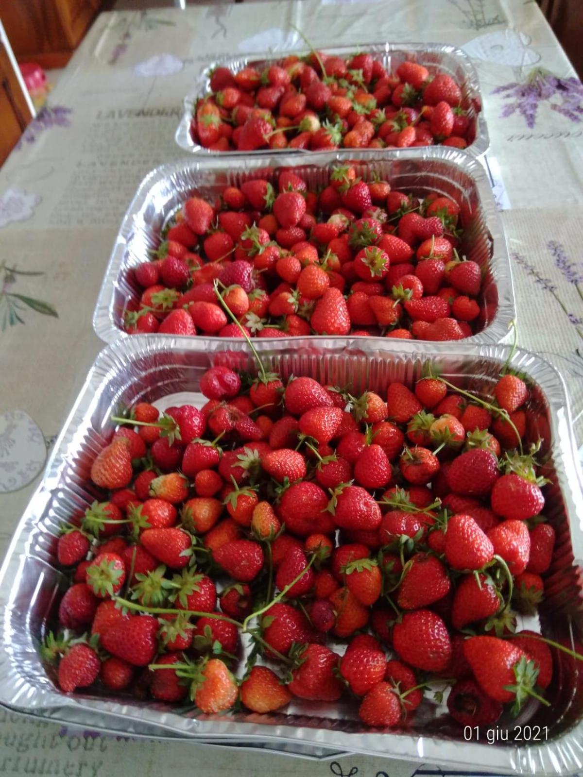 Agriturismo Caruggiu Di Via Vecchia Orco Feglino Dış mekan fotoğraf